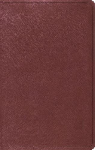 ESV Value Thinline Bible