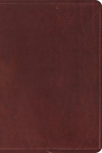 ESV Study Bible, Personal Size