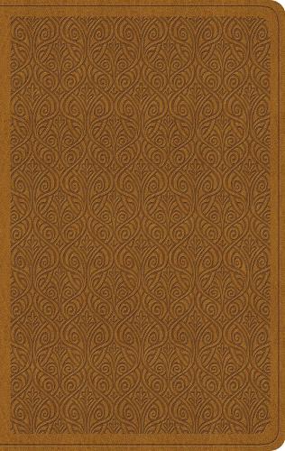 ESV Value Thinline Bible