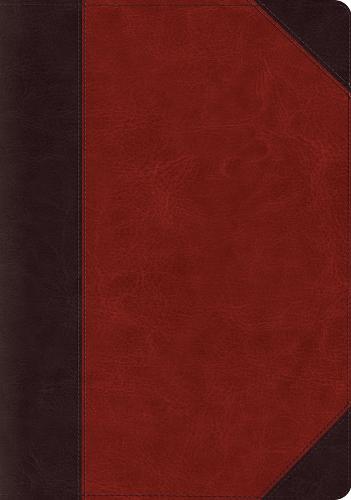 ESV Systematic Theology Study Bible