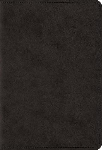 ESV Large Print Compact Bible