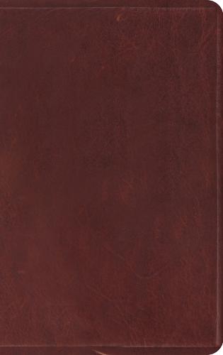 ESV Thinline Bible