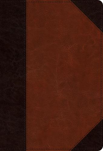 ESV Large Print Compact Bible
