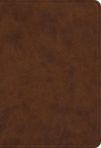 ESV Value Large Print Compact Bible