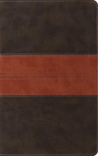 ESV Thinline Reference Bible