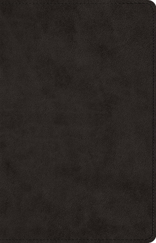 ESV Prayer Bible