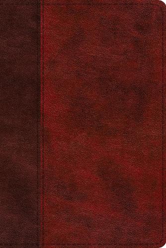 ESV Study Bible, Personal Size