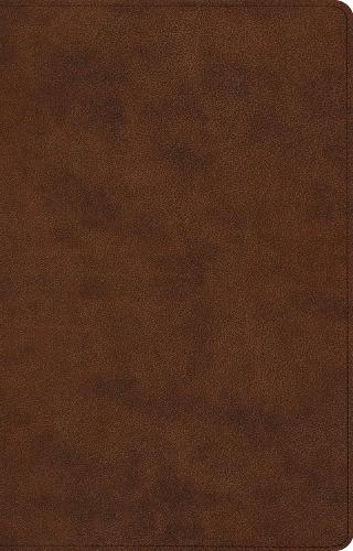 ESV Large Print Thinline Reference Bible