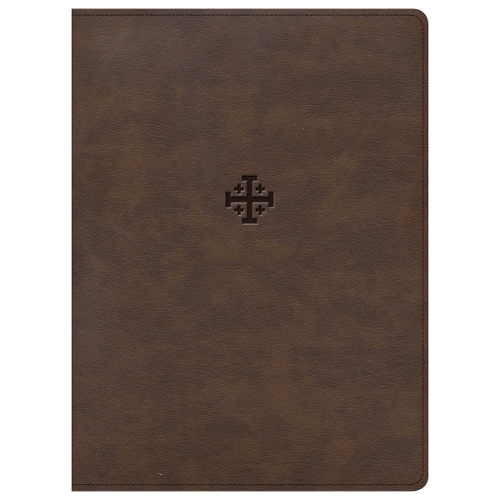 CSB Life Connections Study Bible, Brown LeatherTouch