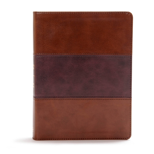 CSB Apologetics Study Bible, Mahogany LeatherTouch
