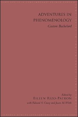 Adventures in Phenomenology