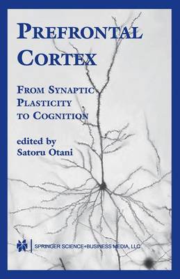 Prefrontal Cortex