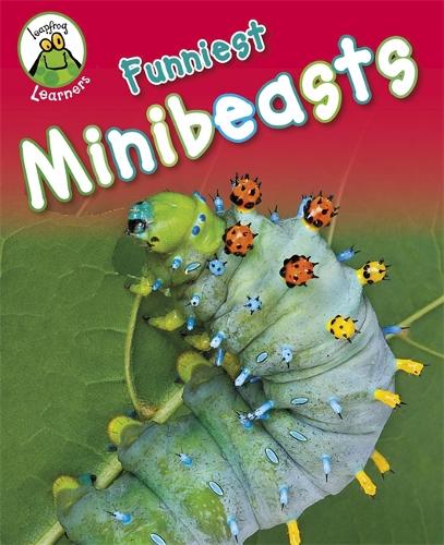 Leapfrog Learners: Funniest Minibeasts