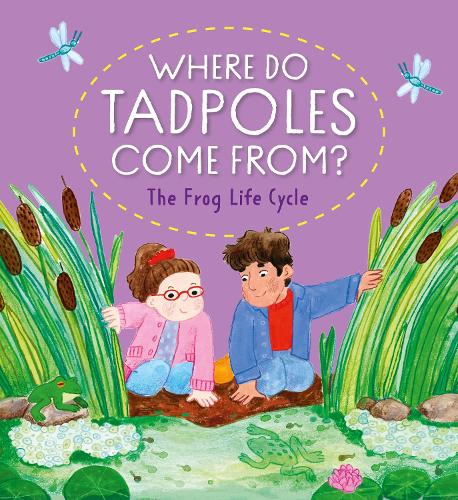 Where Do Tadpoles Come From? The Frog Life Cycle
