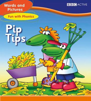 MF Fun with Phonics: Pip Tips Set 1-2