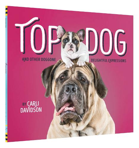 Top Dog