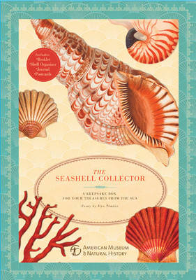 The Seashell Collector