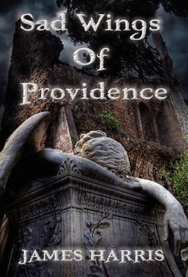 Sad Wings of Providence