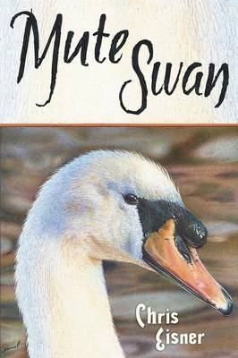 Mute Swan