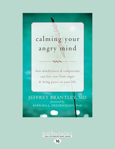 Calming Your Angry Mind