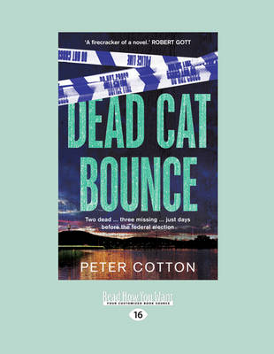 Dead Cat Bounce