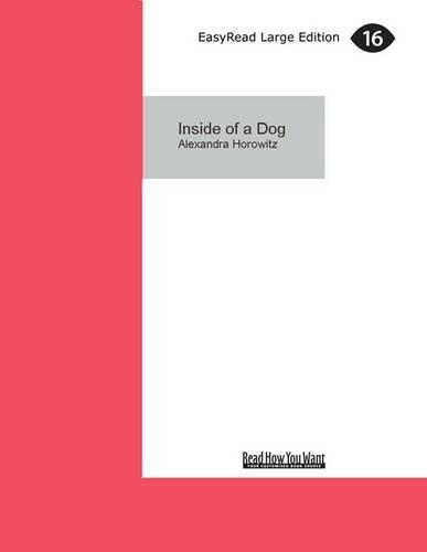 Inside of a Dog