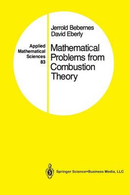 Mathematical Problems from Combustion Theory