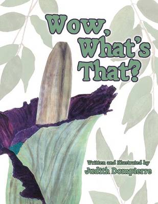 Wow, What's That?