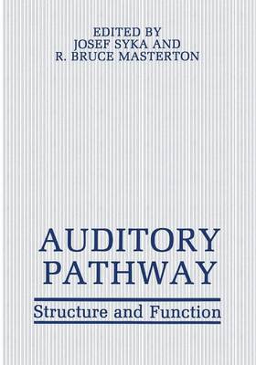 Auditory Pathway