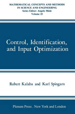 Control, Identification, and Input Optimization