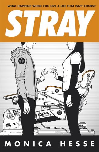 Stray