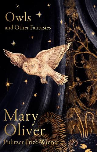 Owls and Other Fantasies