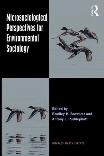 Microsociological Perspectives for Environmental Sociology
