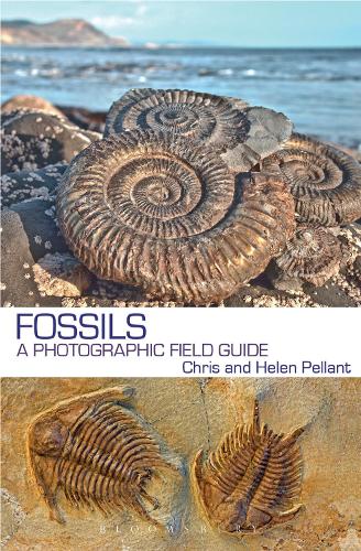 Fossils