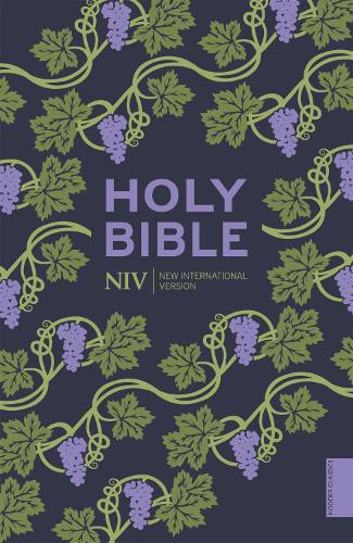 NIV Holy Bible (Hodder Classics)