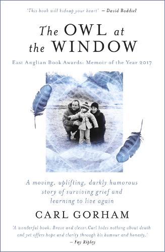 The Owl at the Window