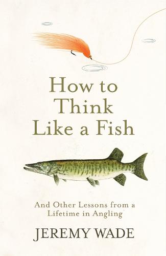 Getting Started at Fly Fishing for Trout by Allan Sefton