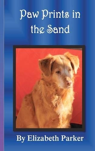 Paw Prints in the Sand