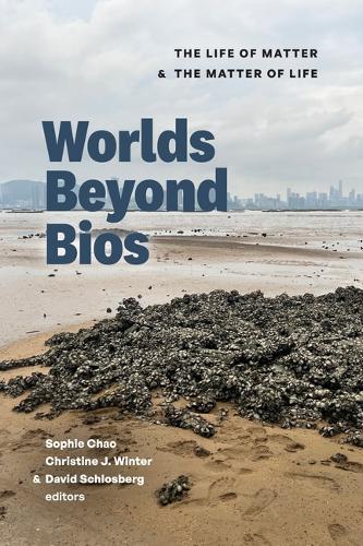 Worlds Beyond Bios