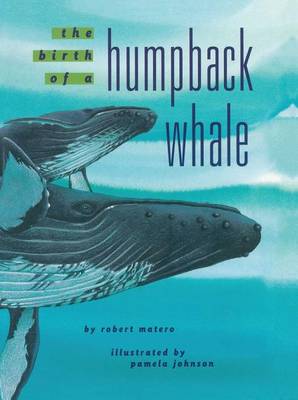 The Birth of a Humpback Whale