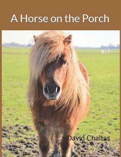A Horse on the Porch