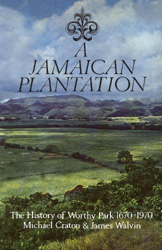 A Jamaican Plantation