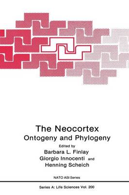 The Neocortex