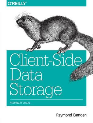 Client–Side Data Storage