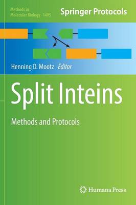 Split Inteins