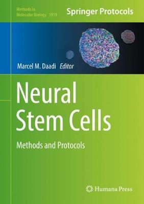 Neural Stem Cells