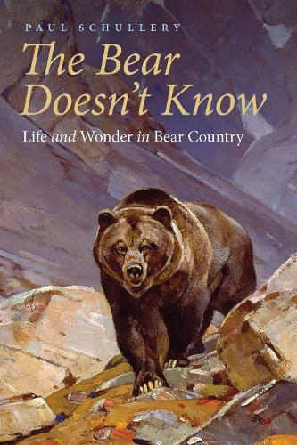 The Bear Doesn't Know