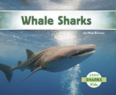 Whale Sharks
