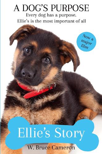 Ellie's Story