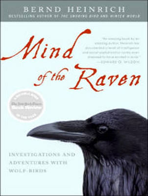 Mind of the Raven